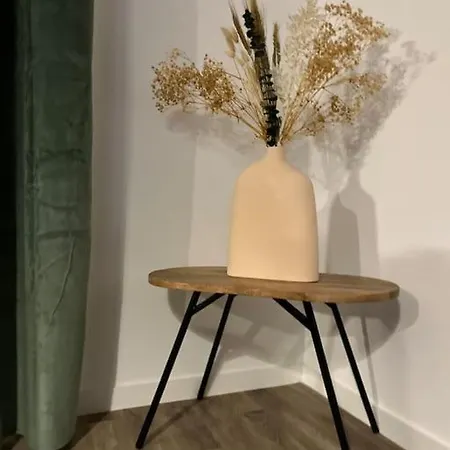 アパート T3 Moderne - Proche Tram - Parking Prive アンジェ