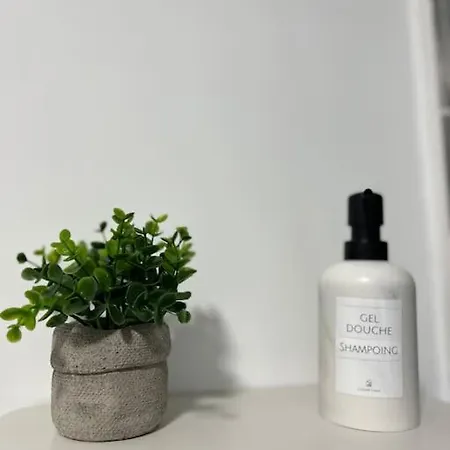 T3 Moderne - Proche Tram - Parking Privé *