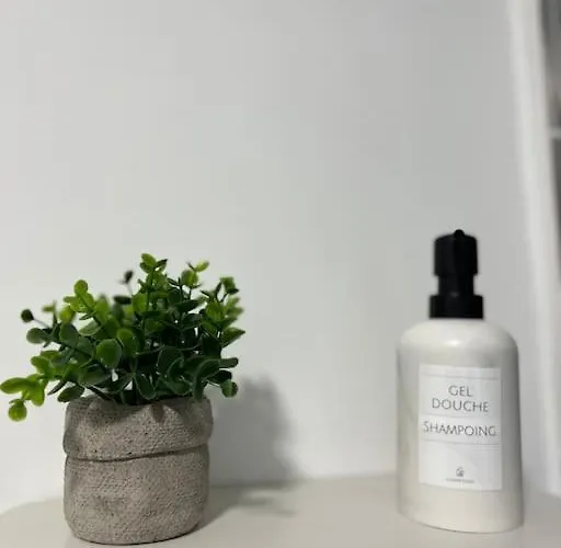 T3 Moderne - Proche Tram - Parking Privé *